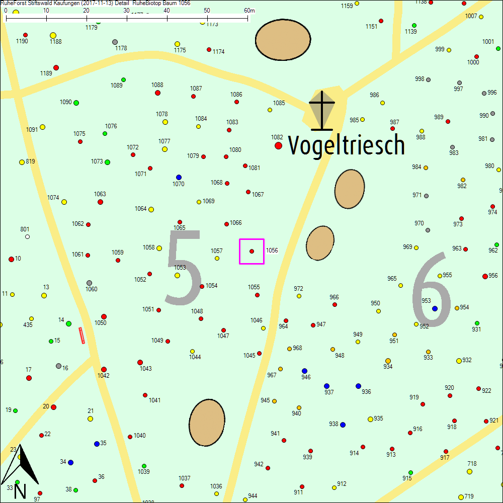Detailkarte zu Baum 1056