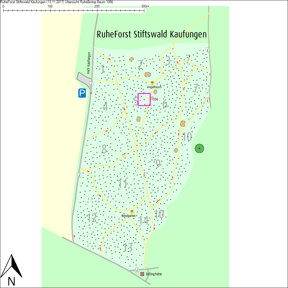 &Uuml;bersichtskarte zu Baum 1056