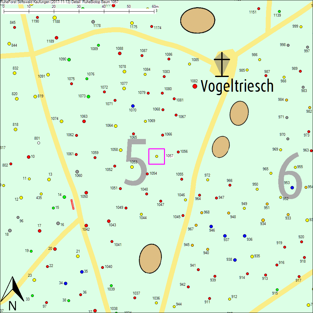 Detailkarte zu Baum 1057