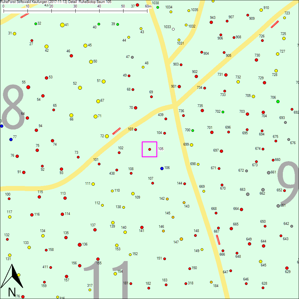 Detailkarte zu Baum 105