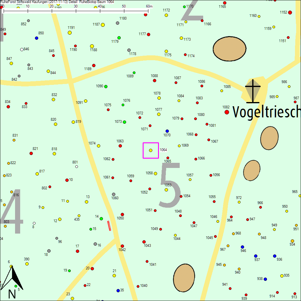 Detailkarte zu Baum 1064