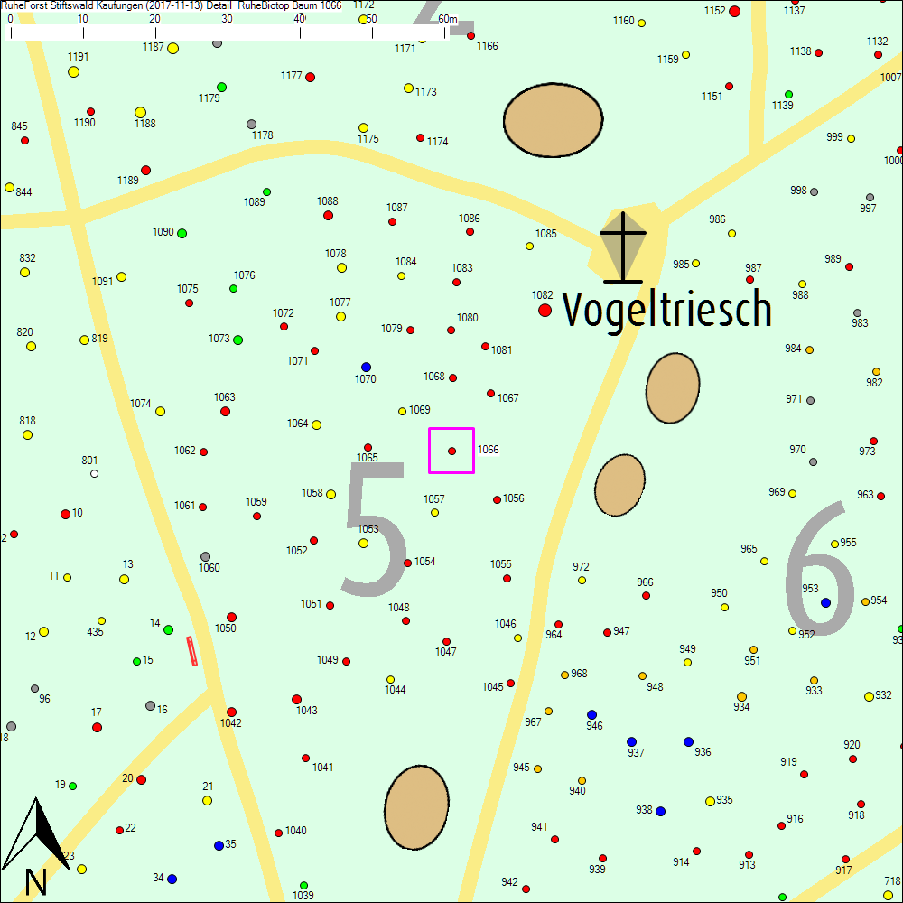 Detailkarte zu Baum 1066