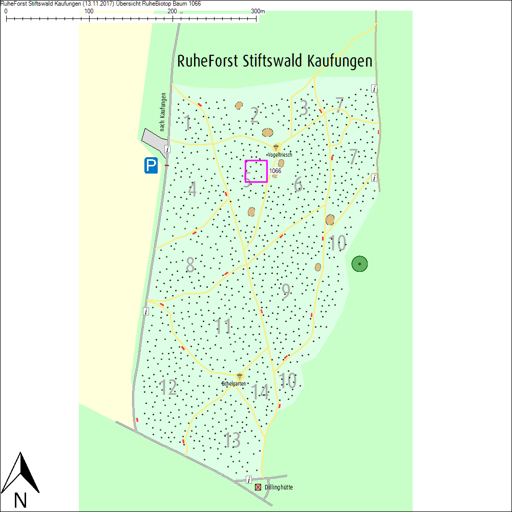 &Uuml;bersichtskarte zu Baum 1066