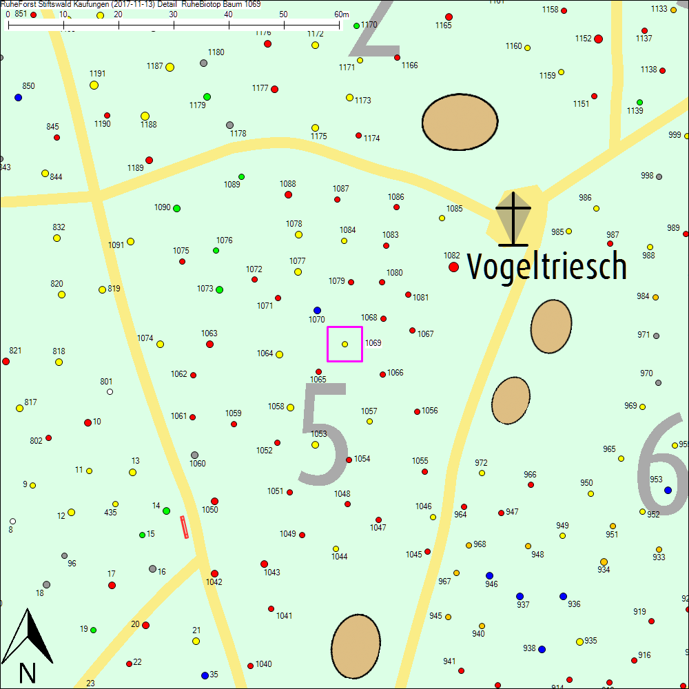 Detailkarte zu Baum 1069