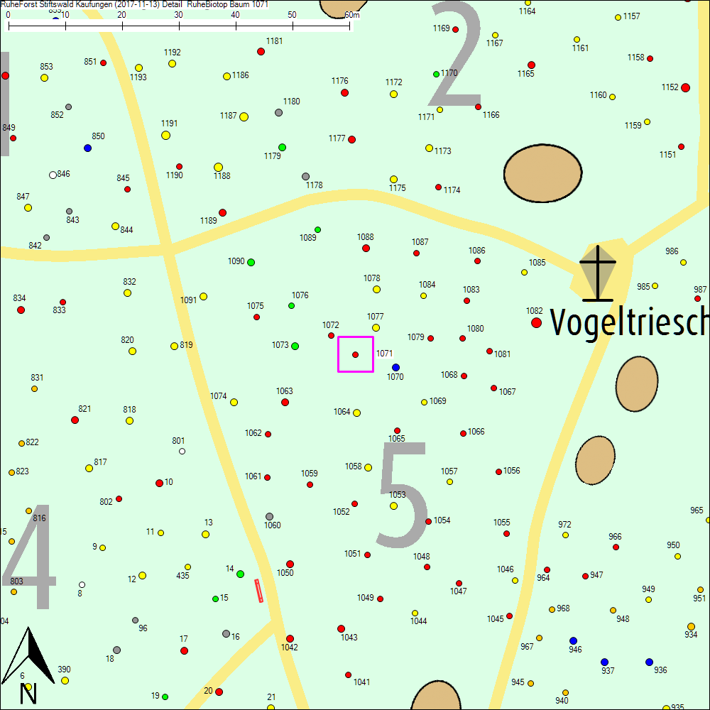 Detailkarte zu Baum 1071