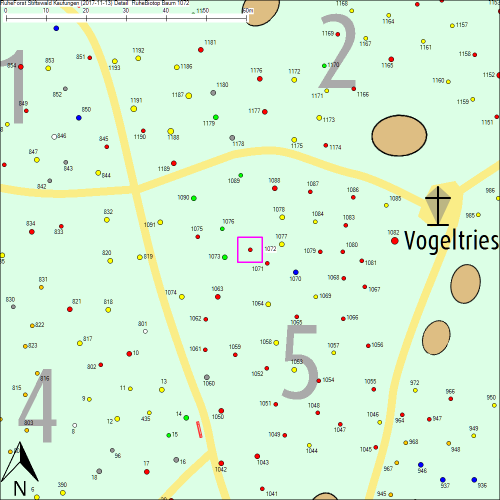 Detailkarte zu Baum 1072
