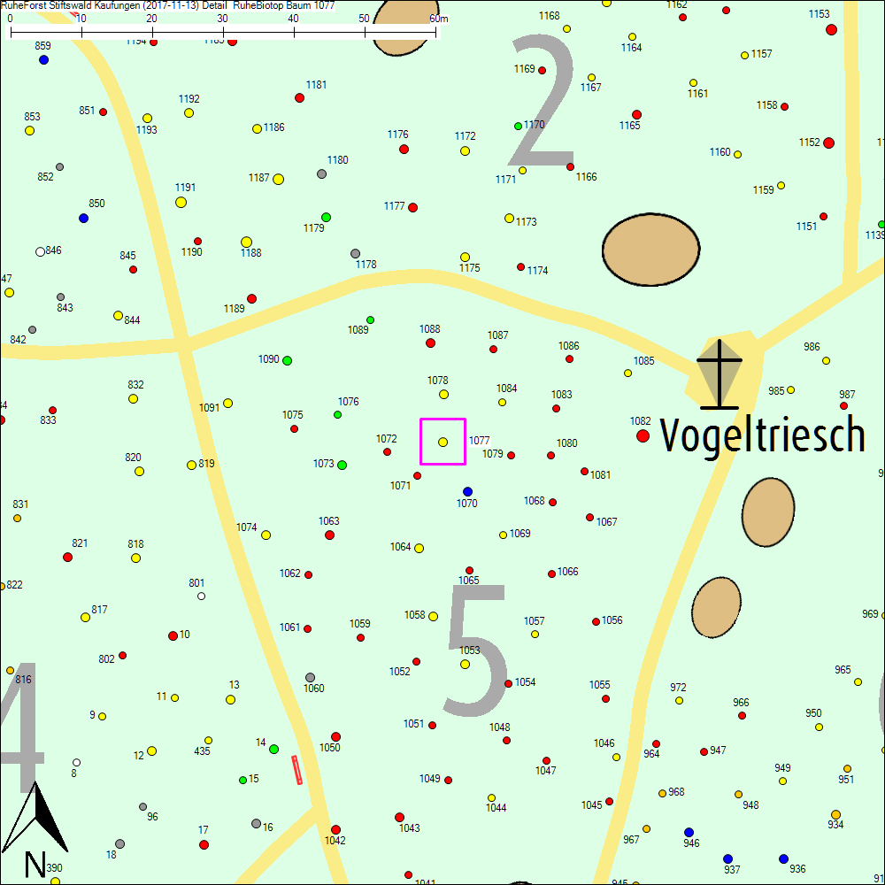 Detailkarte zu Baum 1077