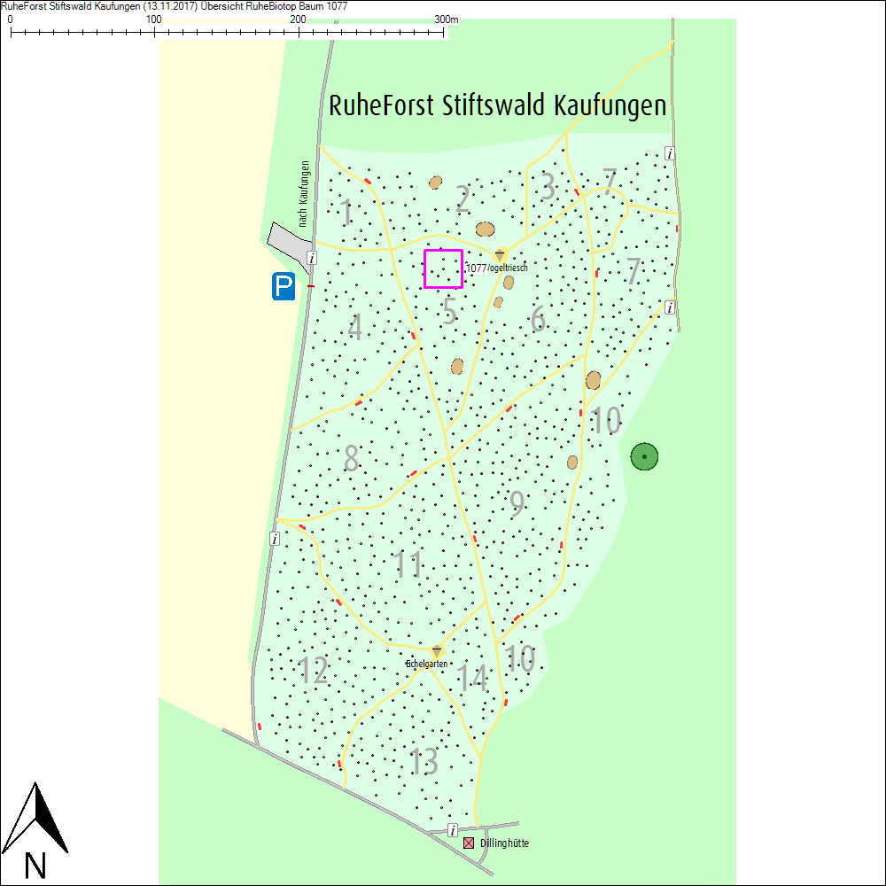 &Uuml;bersichtskarte zu Baum 1077