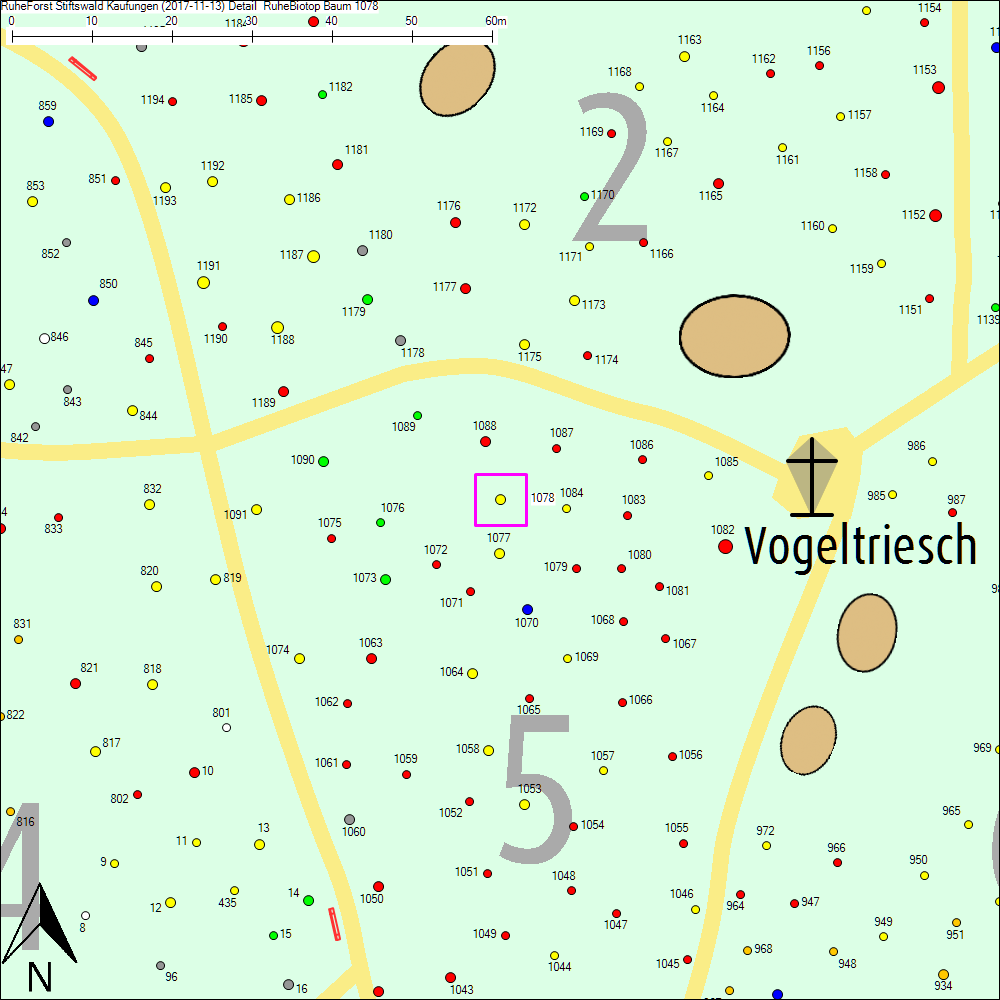 Detailkarte zu Baum 1078
