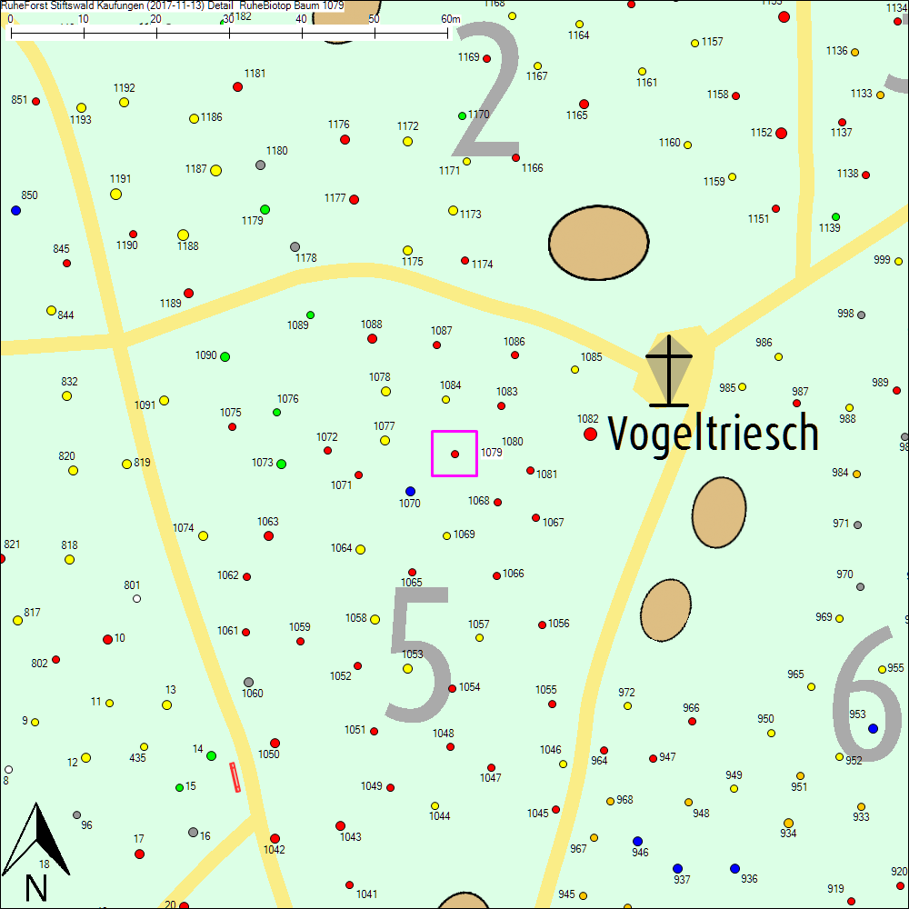 Detailkarte zu Baum 1079