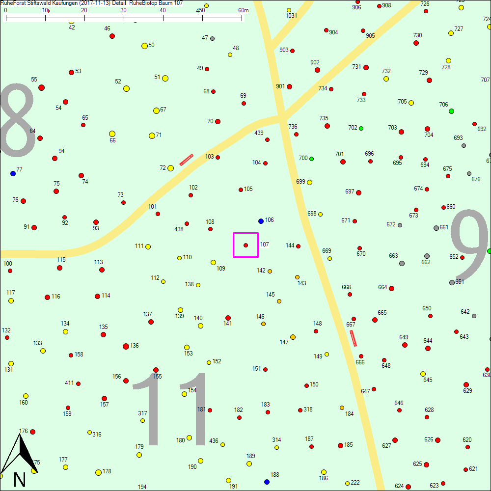 Detailkarte zu Baum 107