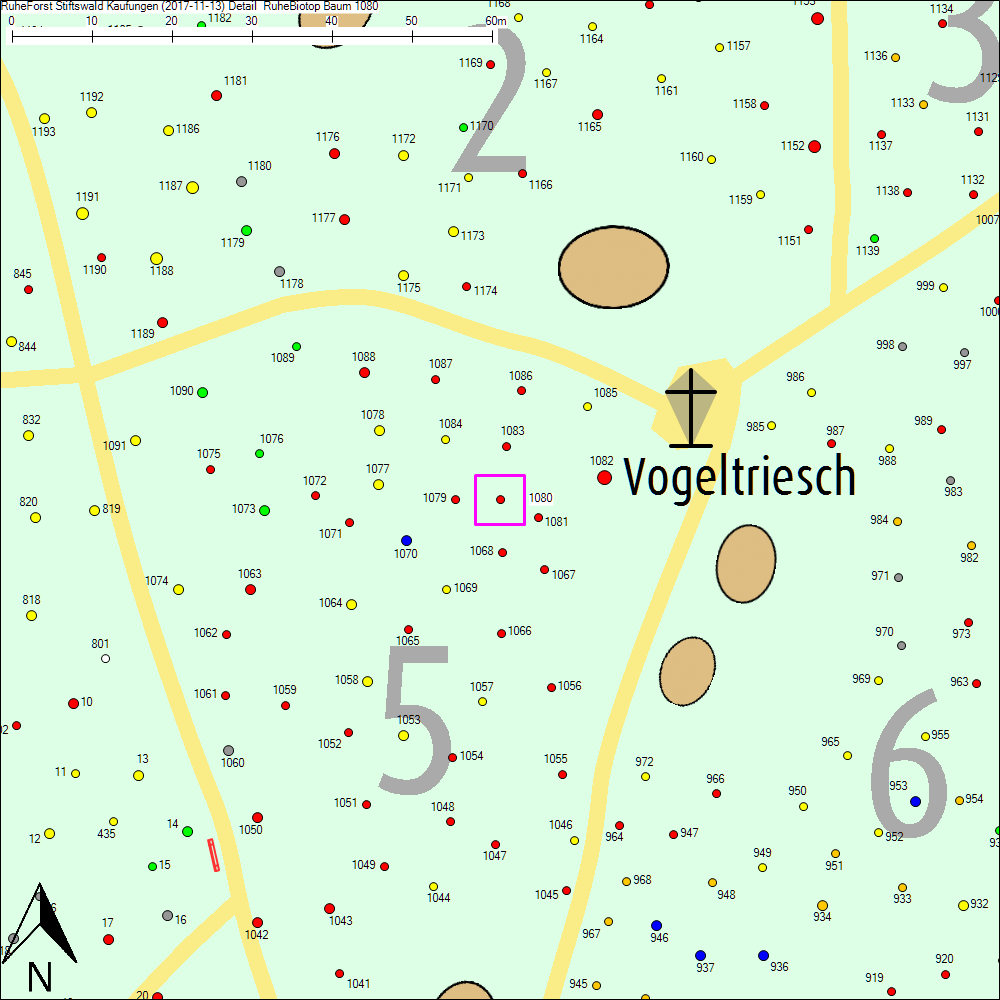 Detailkarte zu Baum 1080