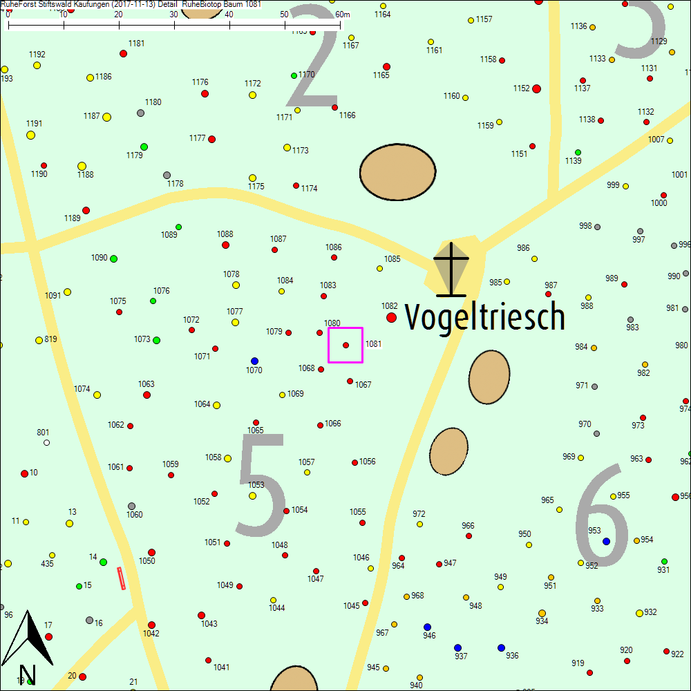 Detailkarte zu Baum 1081
