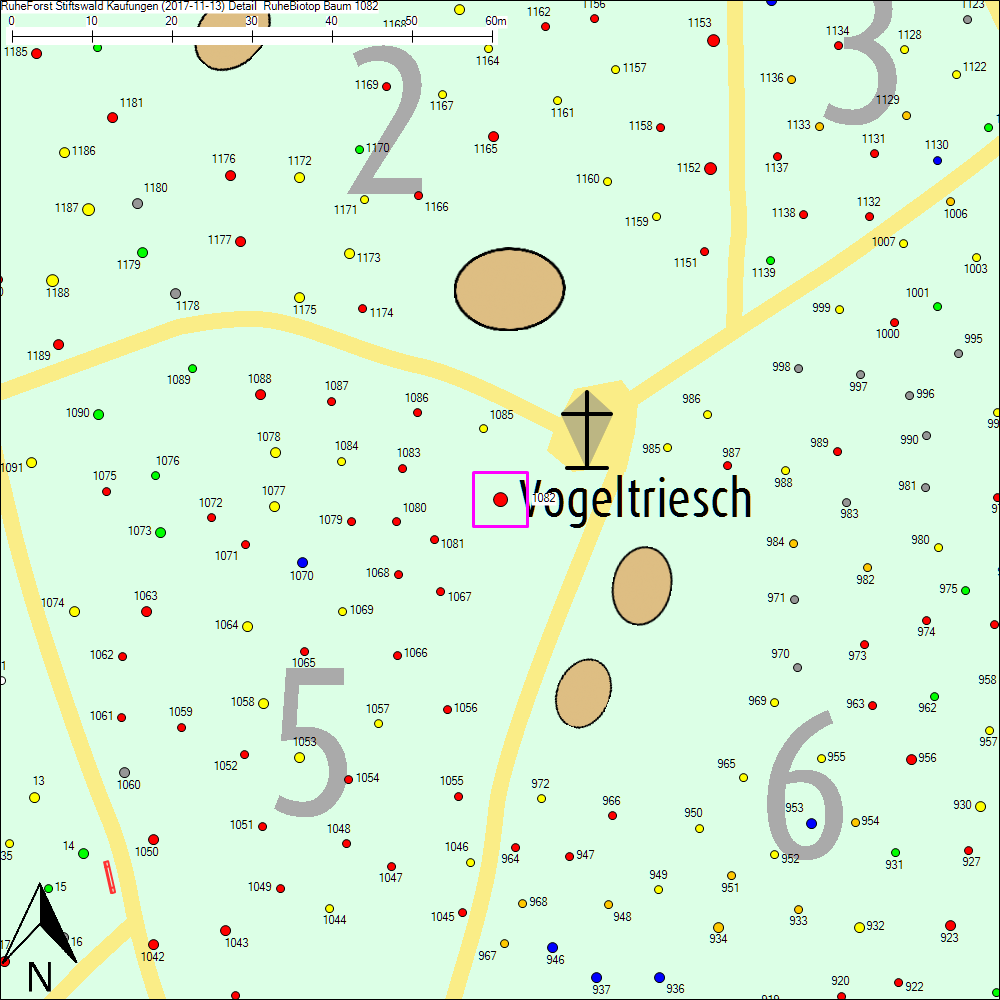 Detailkarte zu Baum 1082