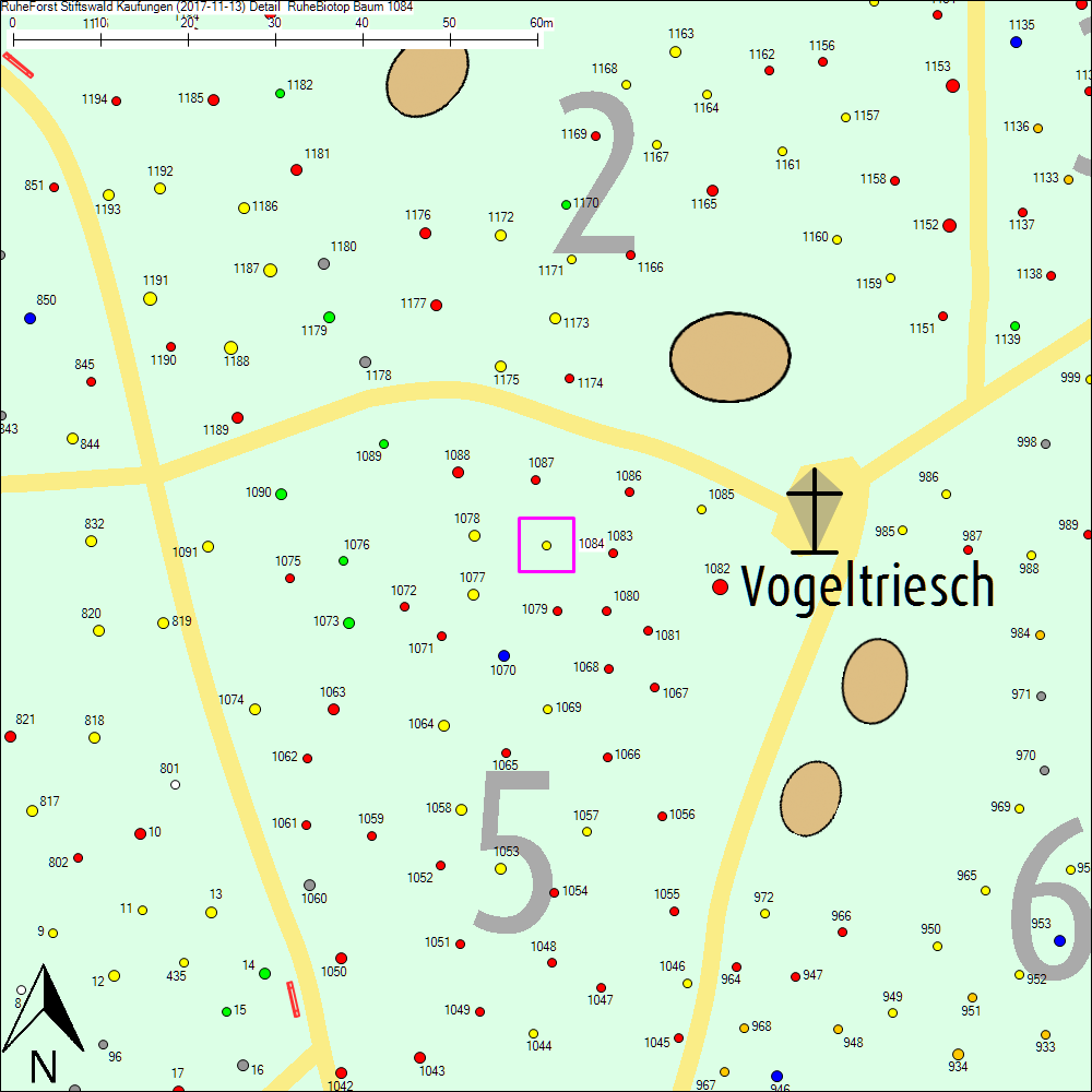 Detailkarte zu Baum 1084