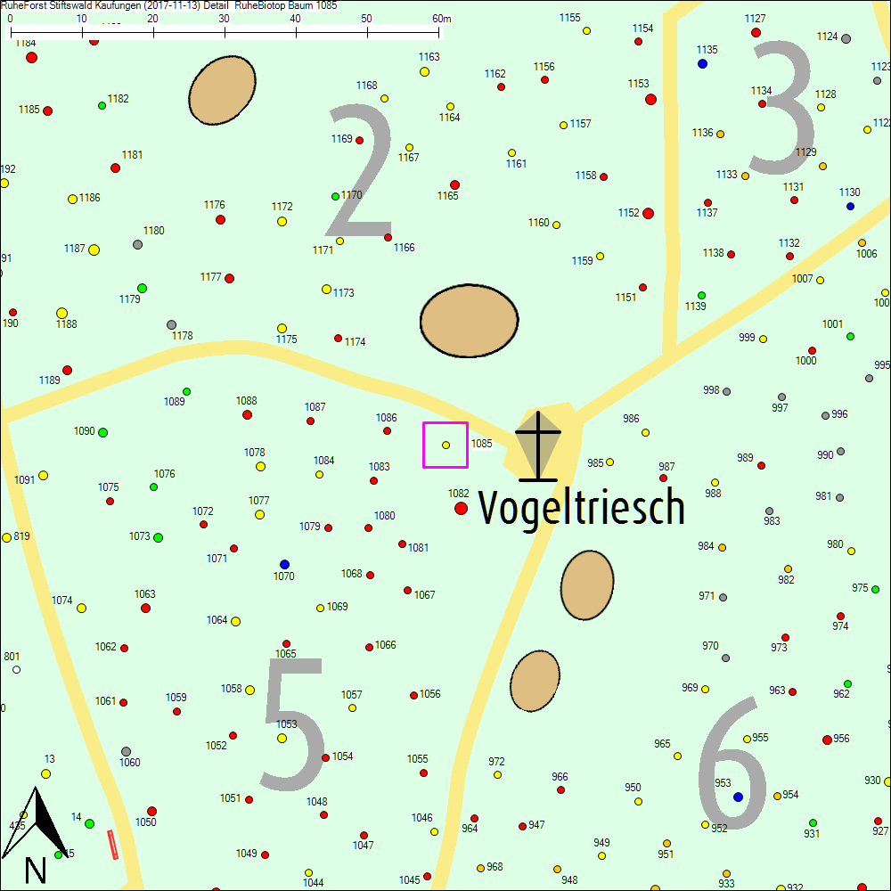 Detailkarte zu Baum 1085