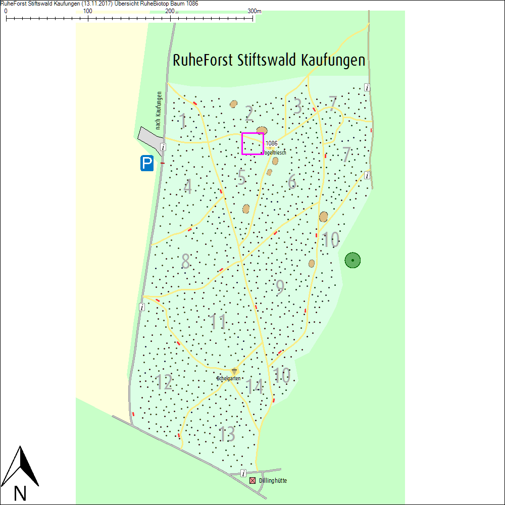 &Uuml;bersichtskarte zu Baum 1086