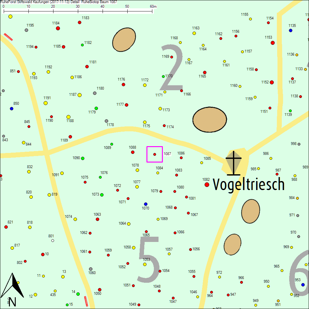 Detailkarte zu Baum 1087