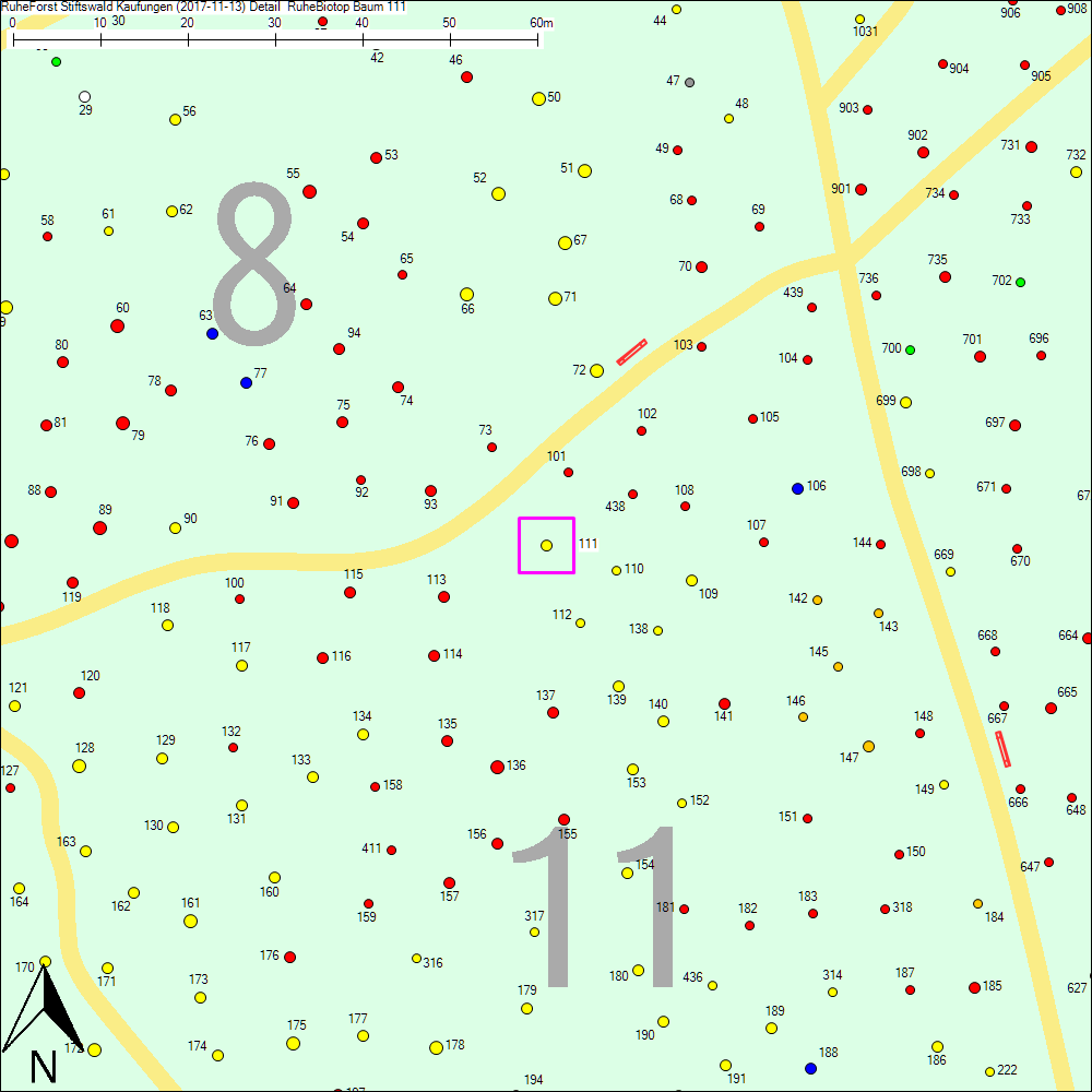 Detailkarte zu Baum 111