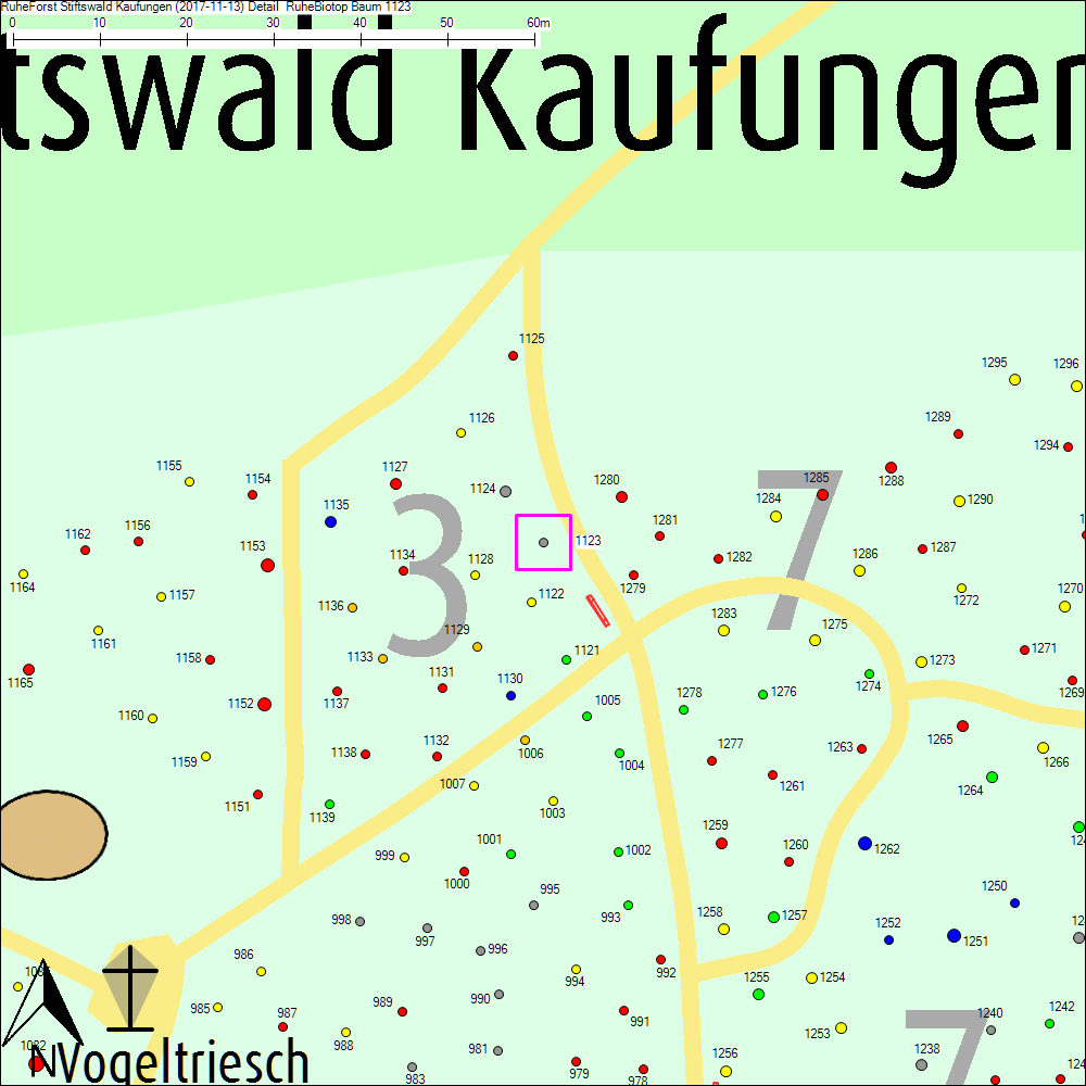 Detailkarte zu Baum 1123