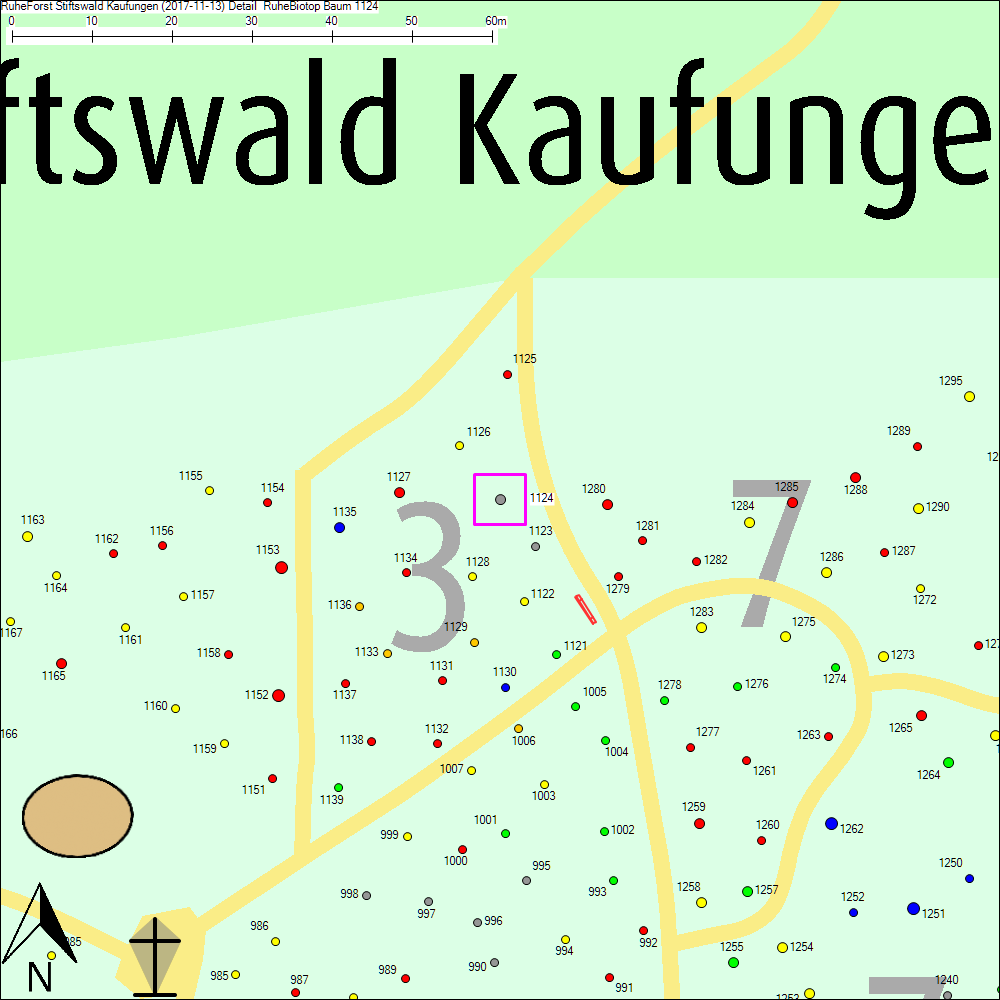 Detailkarte zu Baum 1124