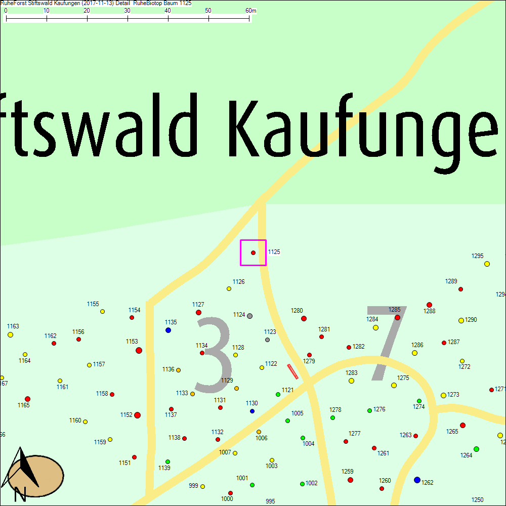 Detailkarte zu Baum 1125