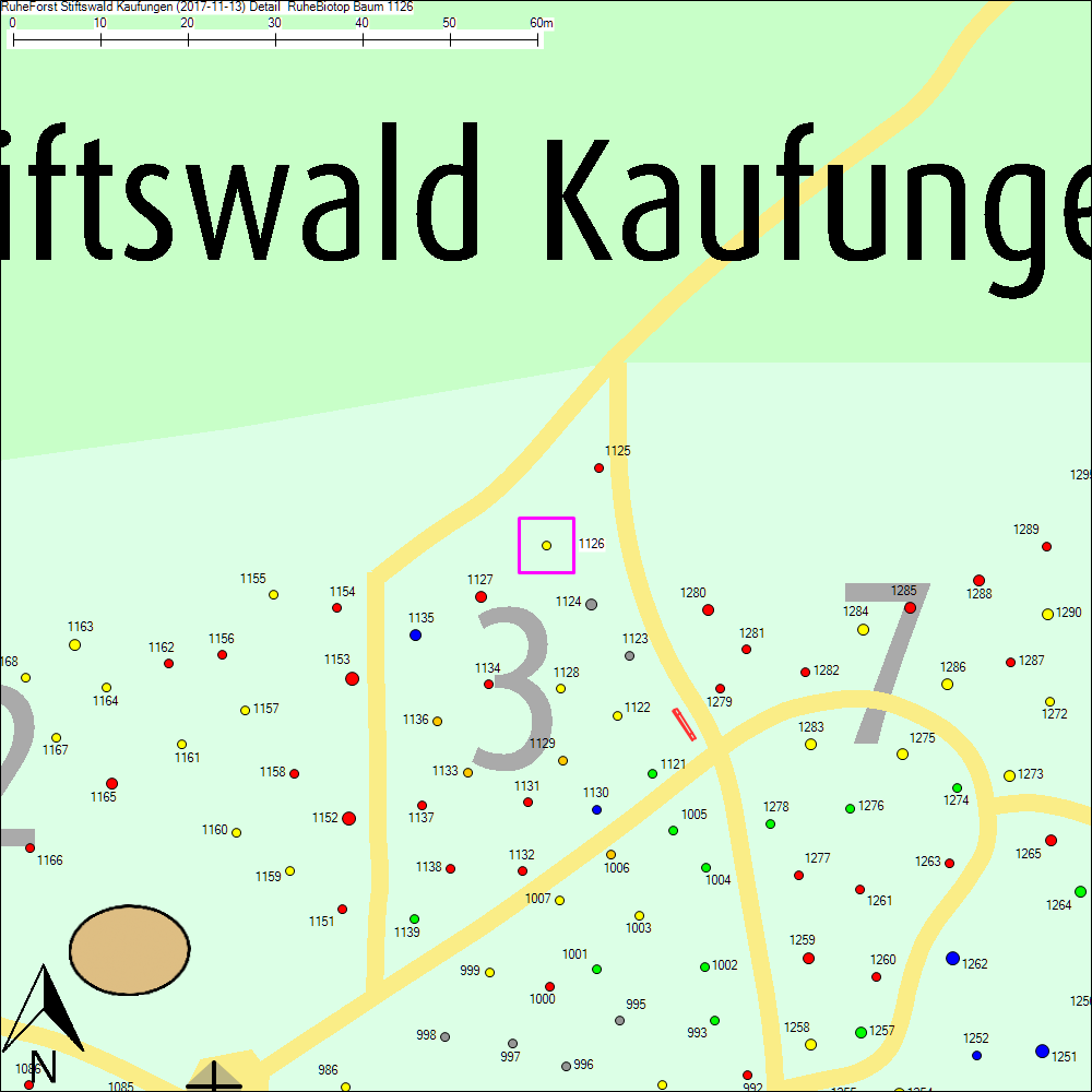 Detailkarte zu Baum 1126