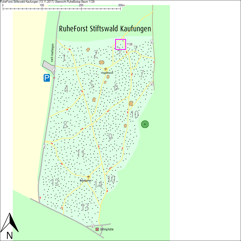 &Uuml;bersichtskarte zu Baum 1126