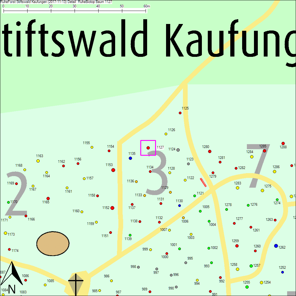 Detailkarte zu Baum 1127