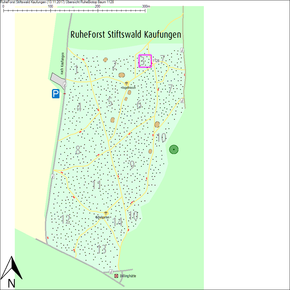 &Uuml;bersichtskarte zu Baum 1128