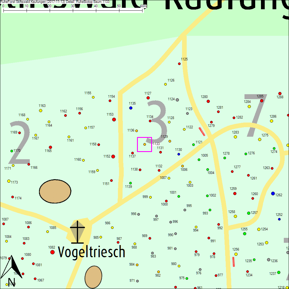 Detailkarte zu Baum 1133