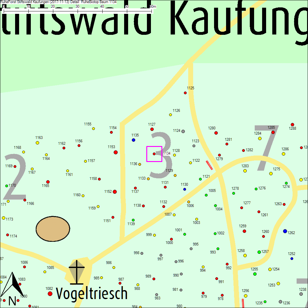 Detailkarte zu Baum 1134