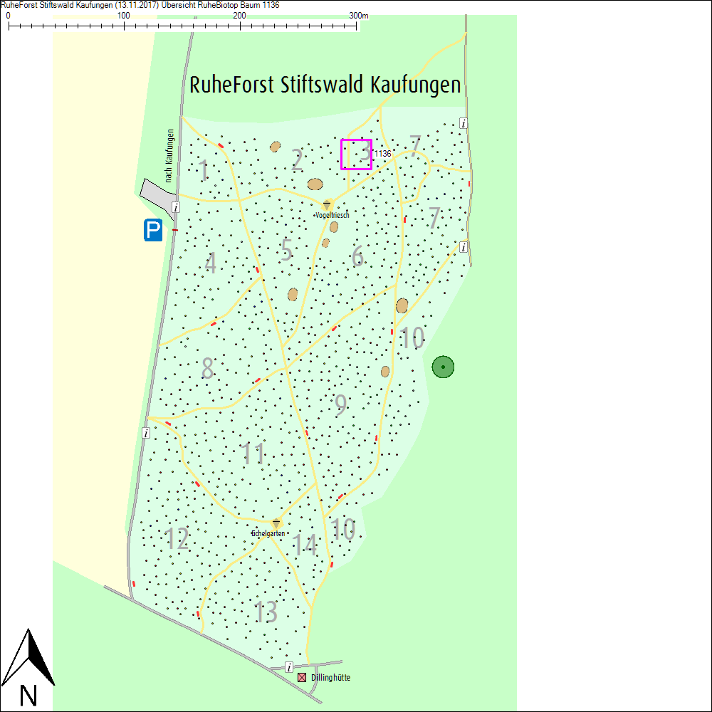 &Uuml;bersichtskarte zu Baum 1136