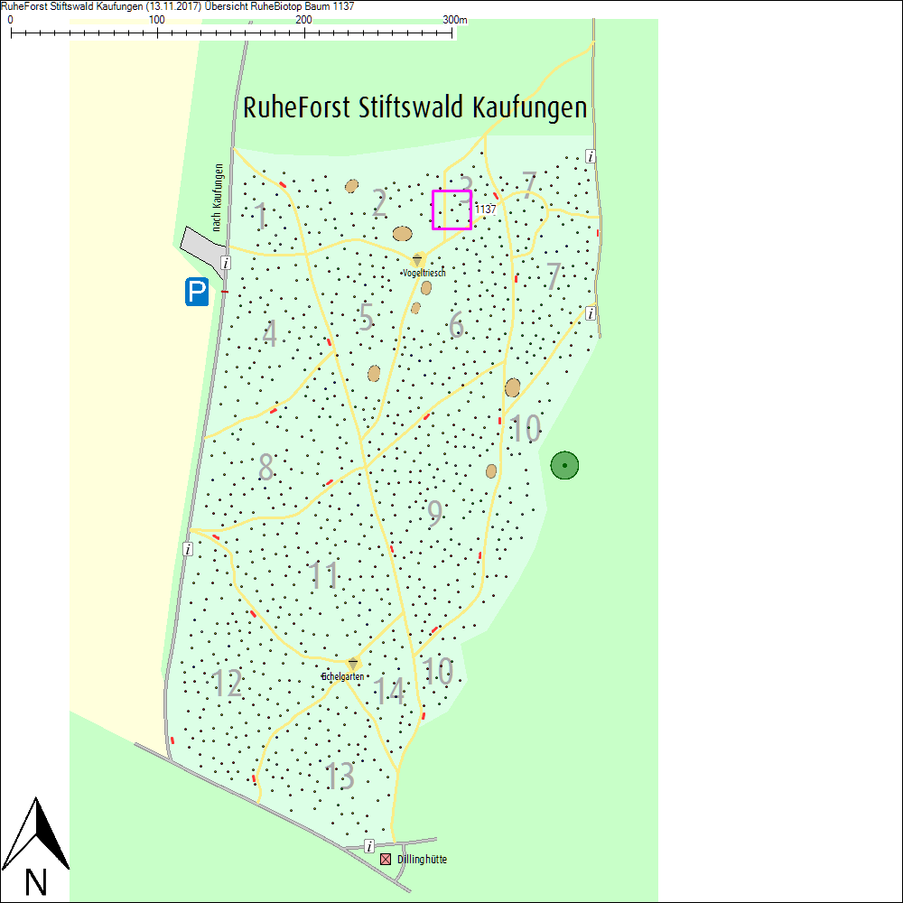 &Uuml;bersichtskarte zu Baum 1137