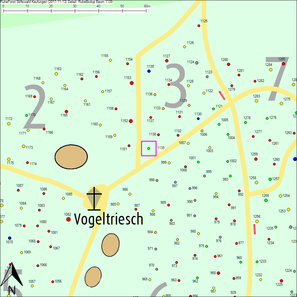 Detailkarte zu Baum 1139