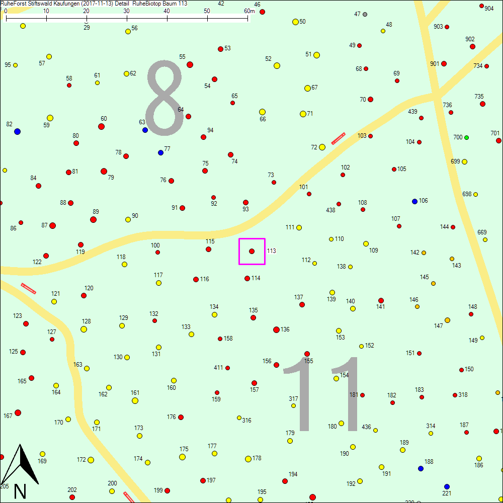 Detailkarte zu Baum 113