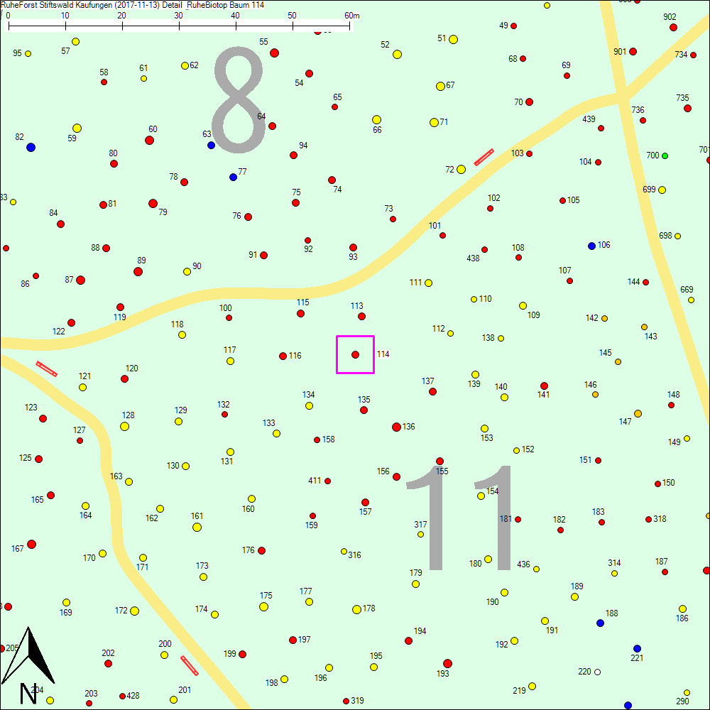 Detailkarte zu Baum 114