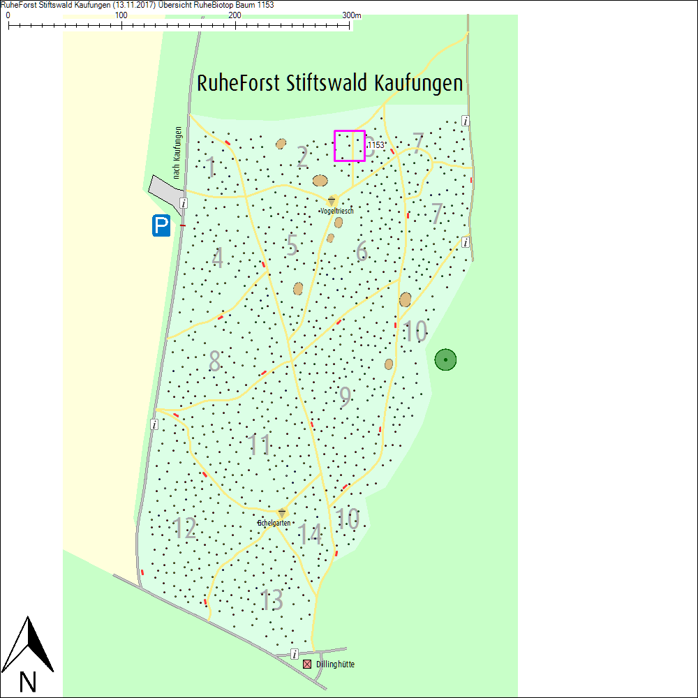 &Uuml;bersichtskarte zu Baum 1153