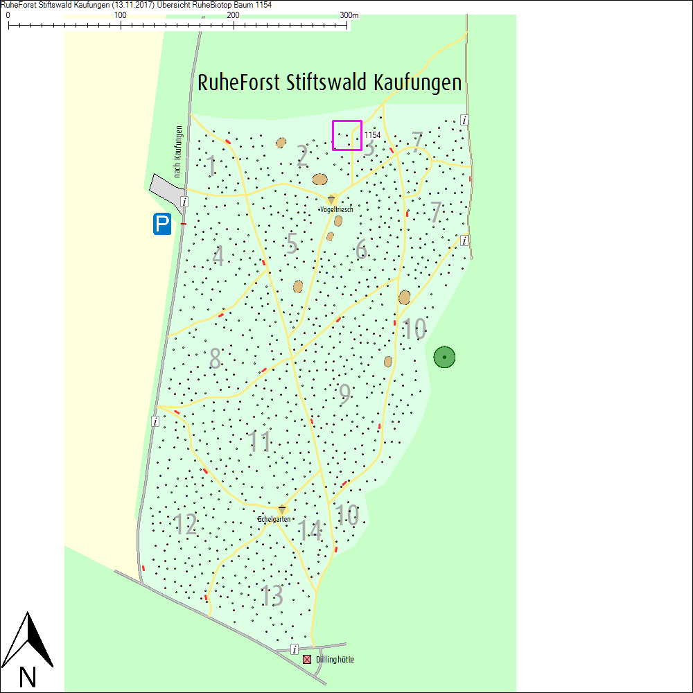 &Uuml;bersichtskarte zu Baum 1154