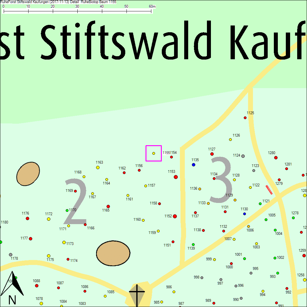 Detailkarte zu Baum 1155