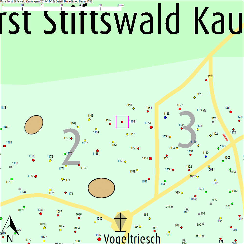 Detailkarte zu Baum 1156