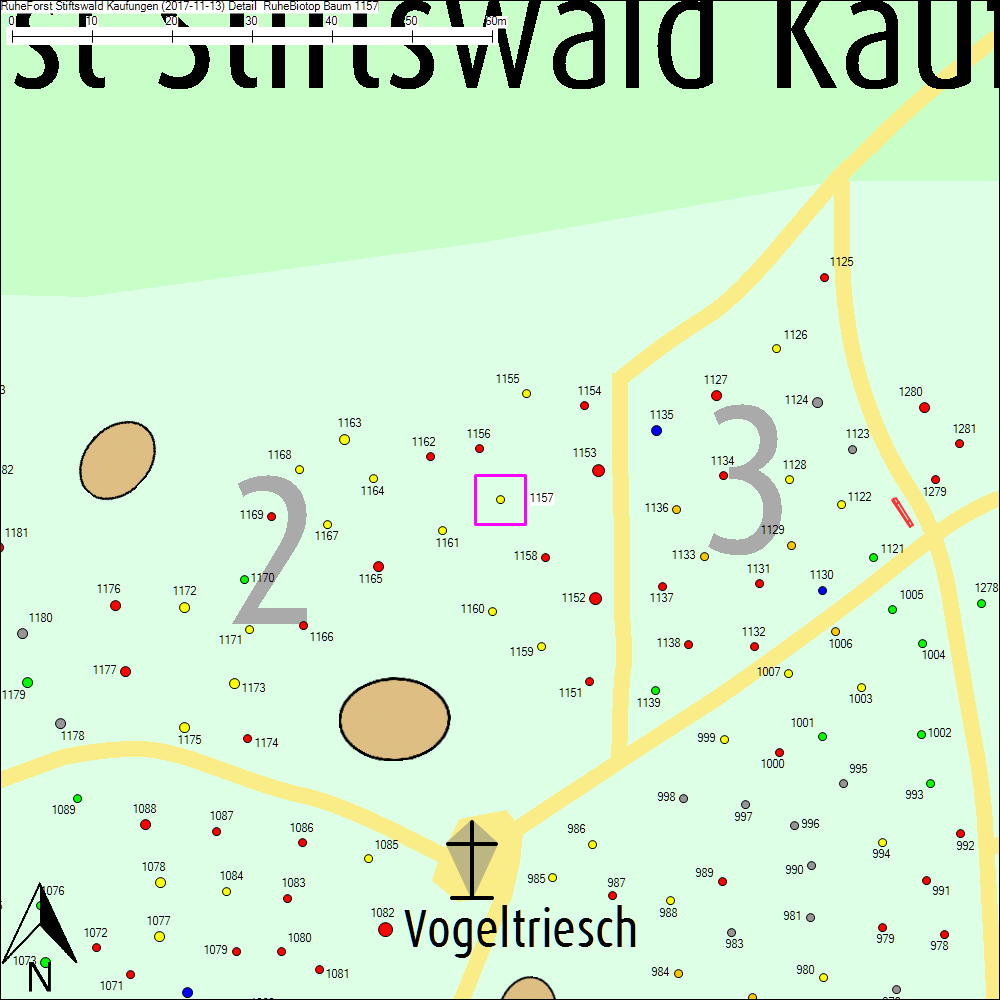 Detailkarte zu Baum 1157