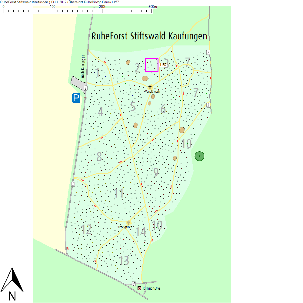 &Uuml;bersichtskarte zu Baum 1157