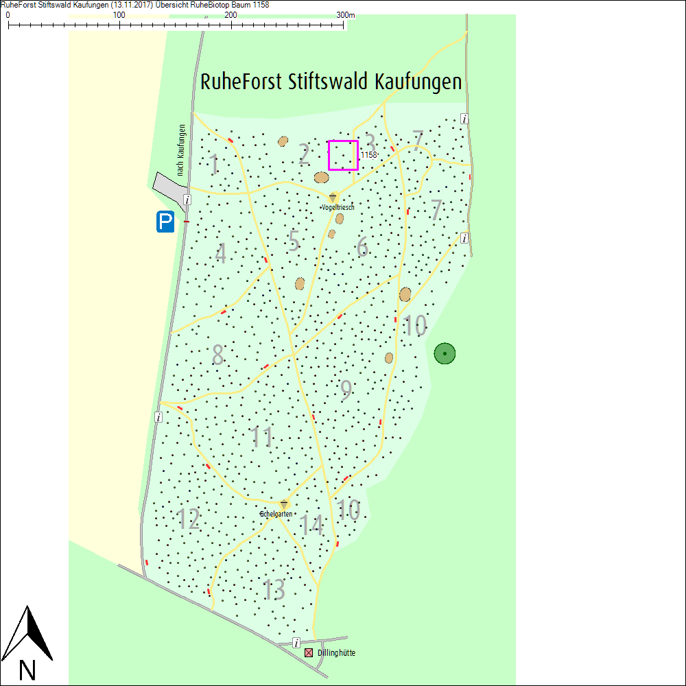 &Uuml;bersichtskarte zu Baum 1158