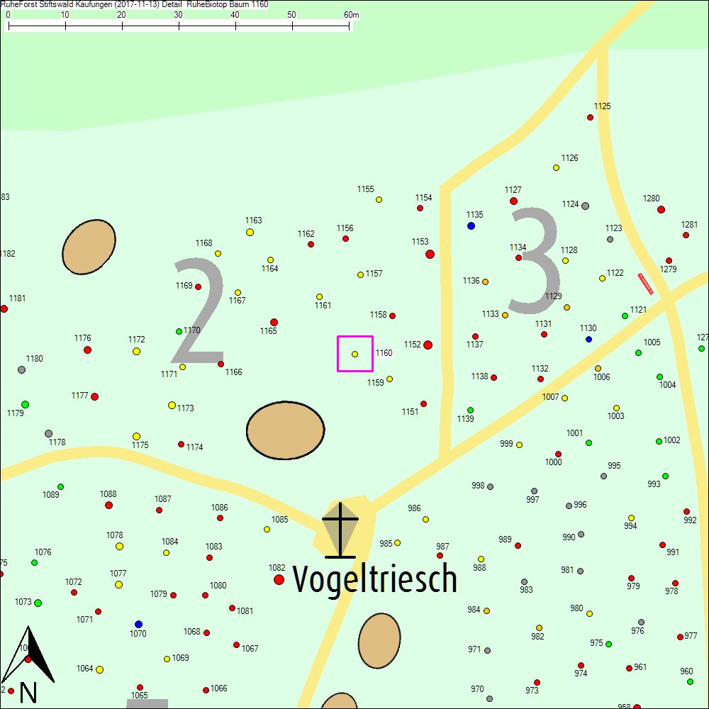 Detailkarte zu Baum 1160