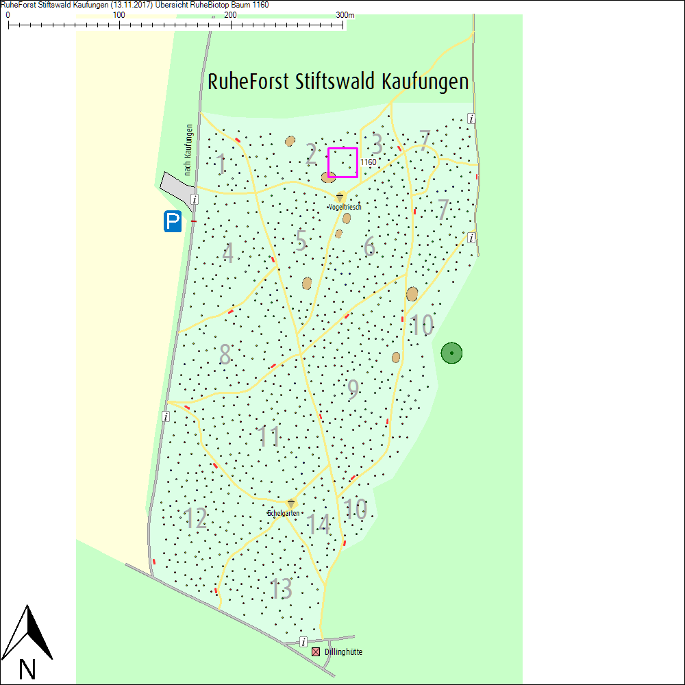 &Uuml;bersichtskarte zu Baum 1160