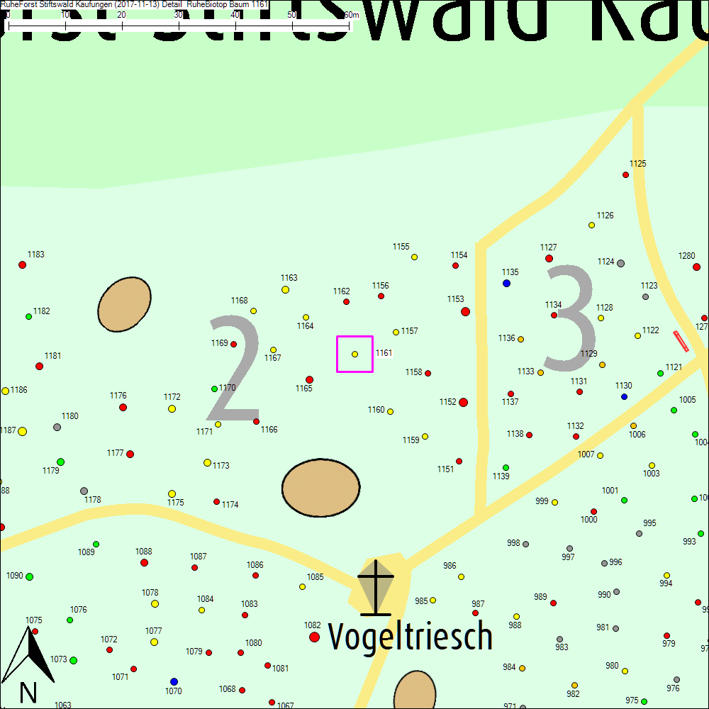 Detailkarte zu Baum 1161