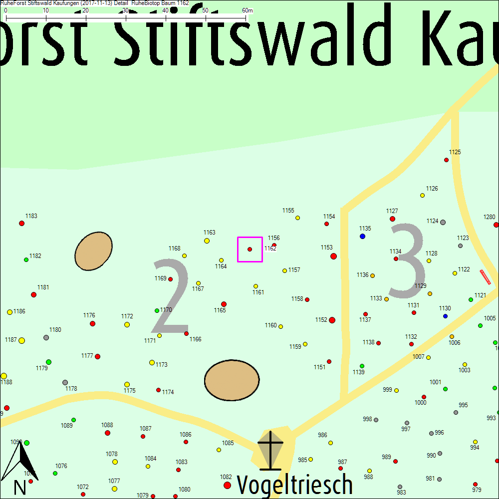 Detailkarte zu Baum 1162