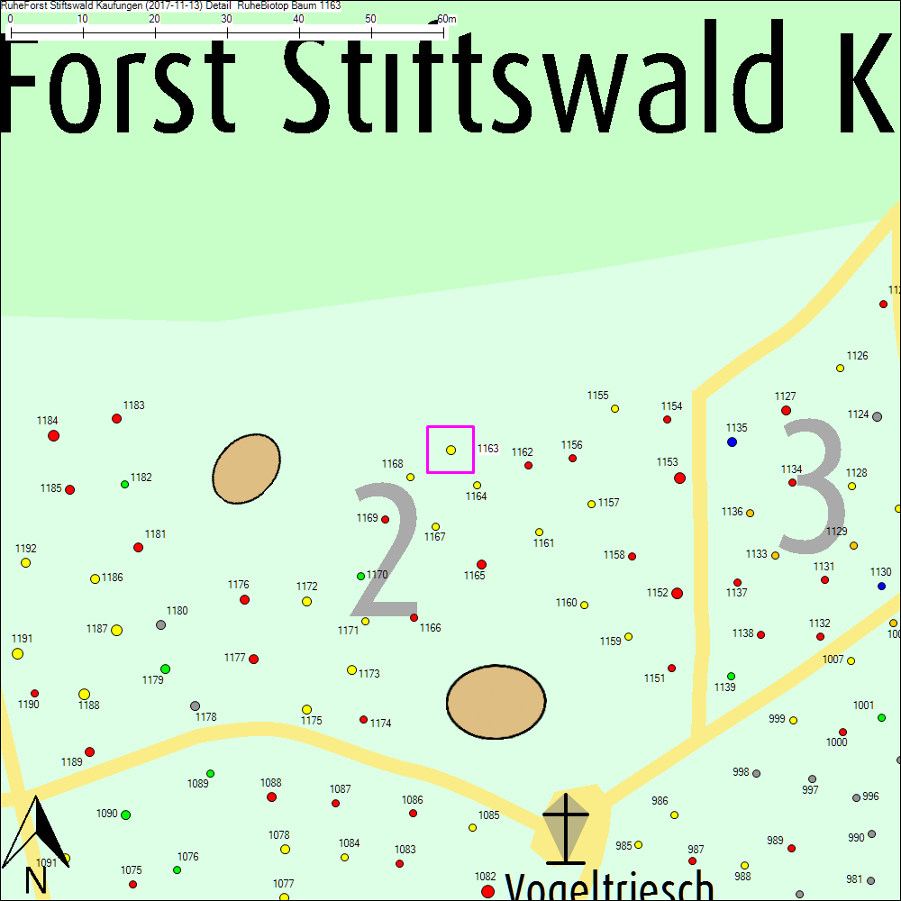 Detailkarte zu Baum 1163