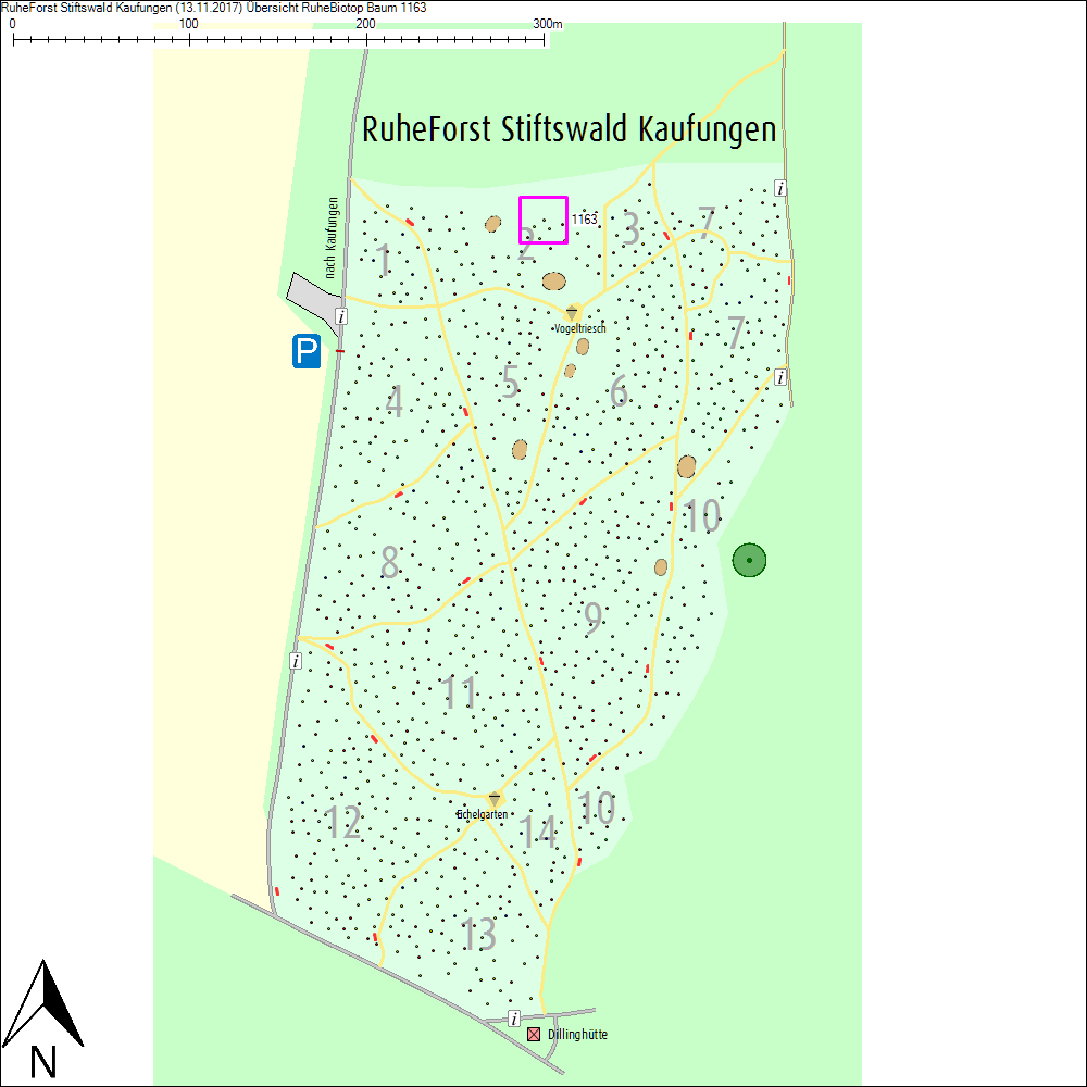 &Uuml;bersichtskarte zu Baum 1163